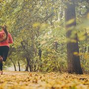 People in nature, Nature, Autumn, Tree, Natural landscape, Leaf, Green, Jogging, Trail, Woodland, 