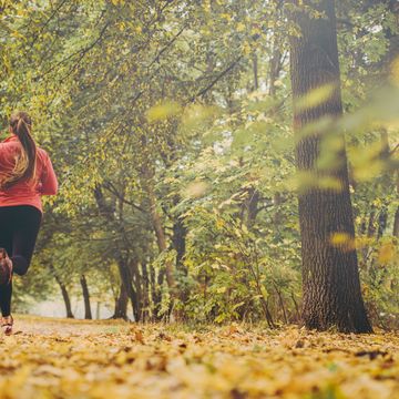 People in nature, Nature, Autumn, Tree, Natural landscape, Leaf, Green, Jogging, Trail, Woodland, 