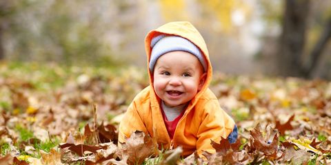 Child, People in nature, Leaf, Toddler, Baby, Autumn, Smile, Happy, Portrait photography, Fun, 