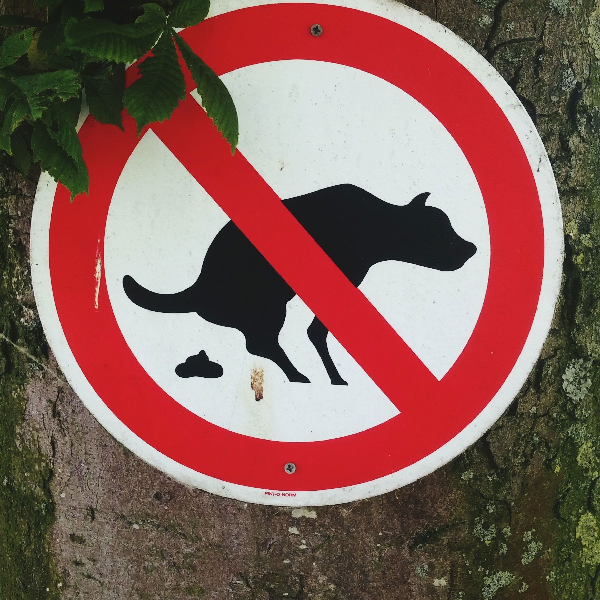 The strangest traffic rules of the world The strangest traffic rules of the world