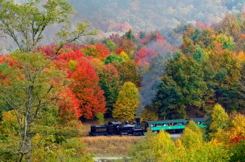 The Cass Scenic Balk Knob train trips