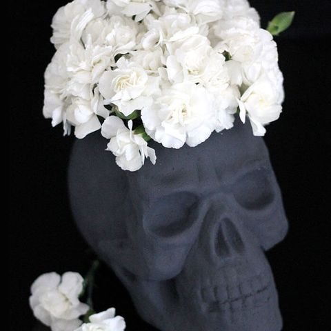 White, Flower, Cut flowers, Bouquet, Petal, Plant, Headpiece, Artificial flower, Flowering plant, Rose, 