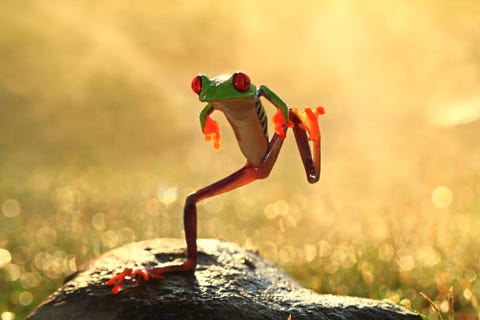 50 Funny Animal Pictures - Cute Photos of Wild Animals 50 Funny Animal Pictures - Cute Photos of Wild Animals