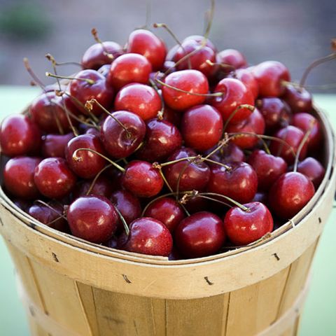 Natural foods, Fruit, Food, Local food, Cherry, European plum, Plant, Superfood, Grape, Produce, 