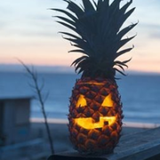 pineapple jack o lantern-index