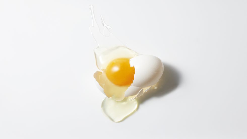 egg donation dangers - use this lead