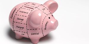Piggy bank, Saving, Pink, Money handling, Domestic pig, 