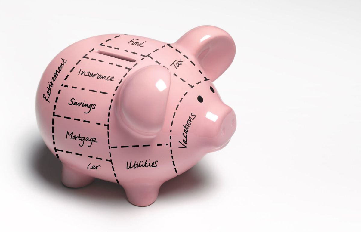 Piggy bank, Saving, Pink, Money handling, Domestic pig, 