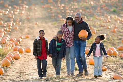 Fall Activities to Do With Your Kids - Fall Activities for Families