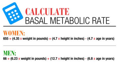 Basal Metabolic Rate Bmr Chart