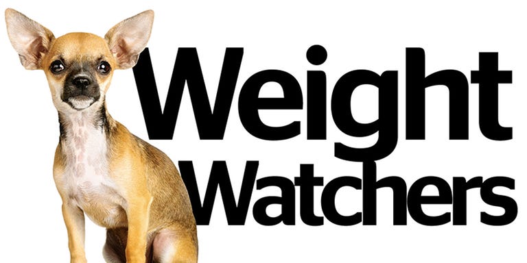 Weight loss volunteers wanted photo 4