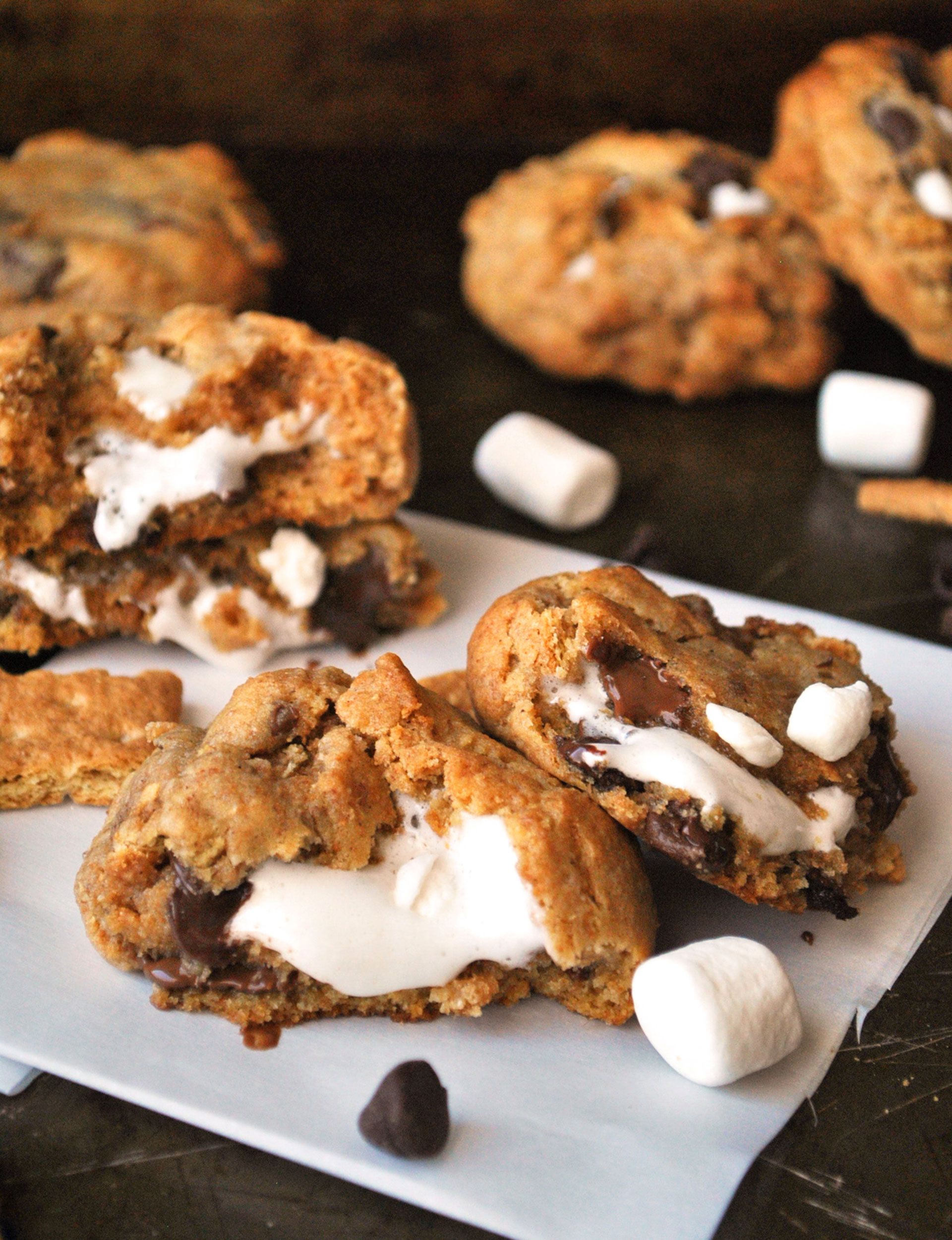 16 Epic Smores Desserts for Every Time, Craving, and Occasion 16 Epic Smores Desserts for Every Time, Craving, and Occasion