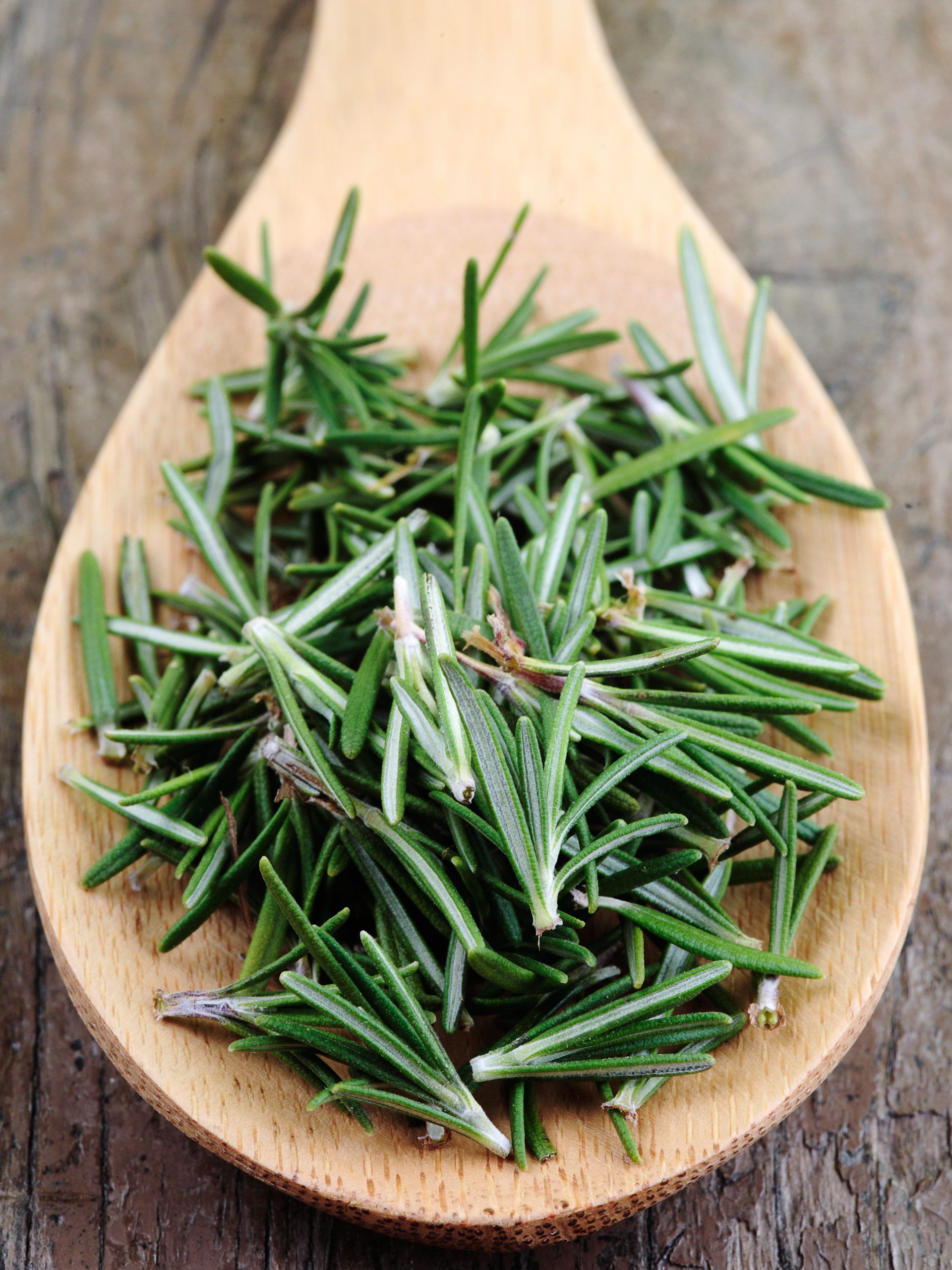 Lose weight with rosemary tea Lose weight with rosemary tea