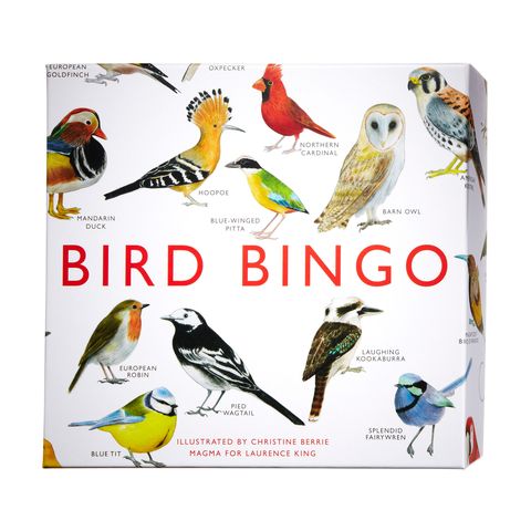 bird bingo game