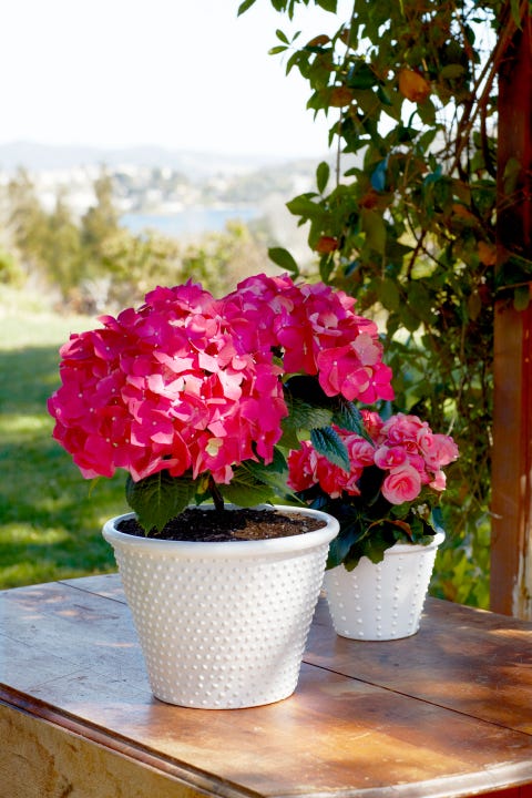 Puff-paint your masterpiece puffy painted pot