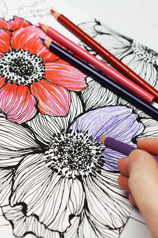 How to Color Like an Artist: Tips for Adult-Coloring Converts - WSJ