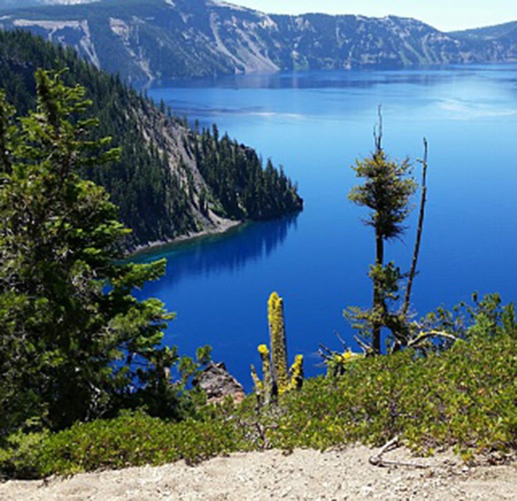 Larix lyalliiSubalpine Larch, Body of water, Lake, Nature, Wilderness, Natural landscape, balsam fir, Mountain, Tree, Glacial lake, 