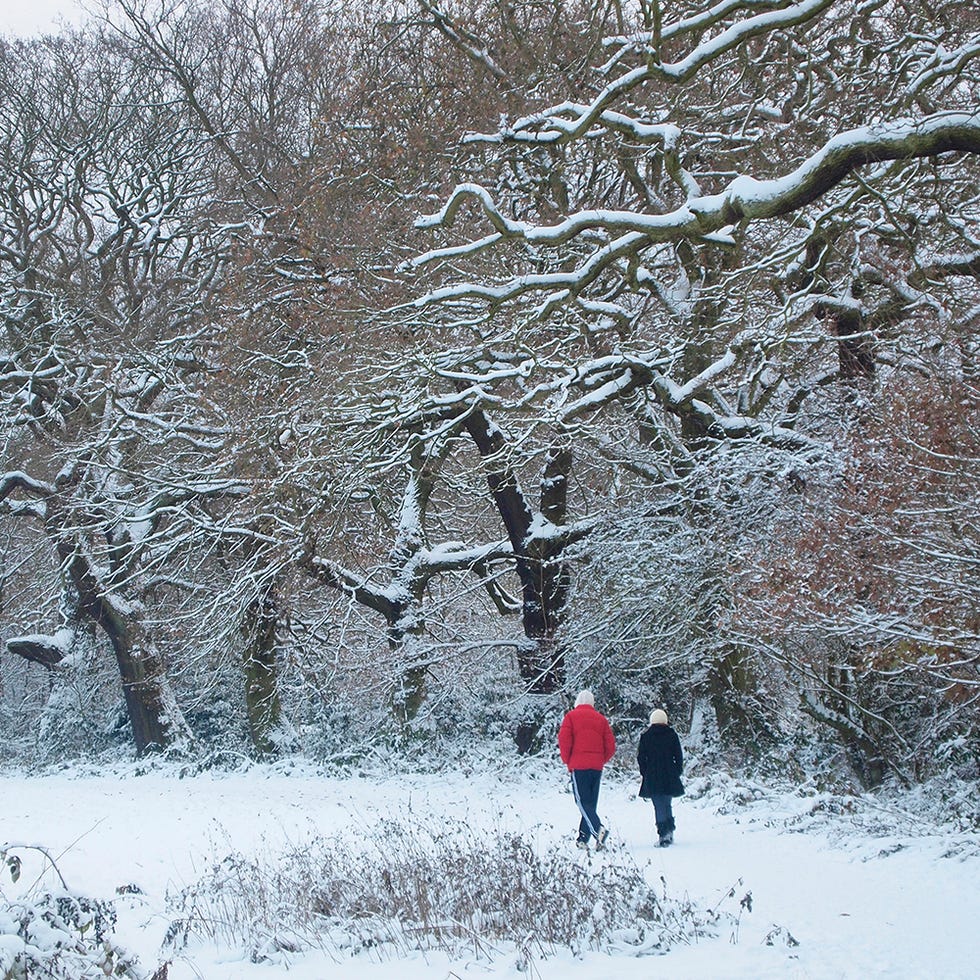 Best New Year's Day walks to blow the cobwebs away