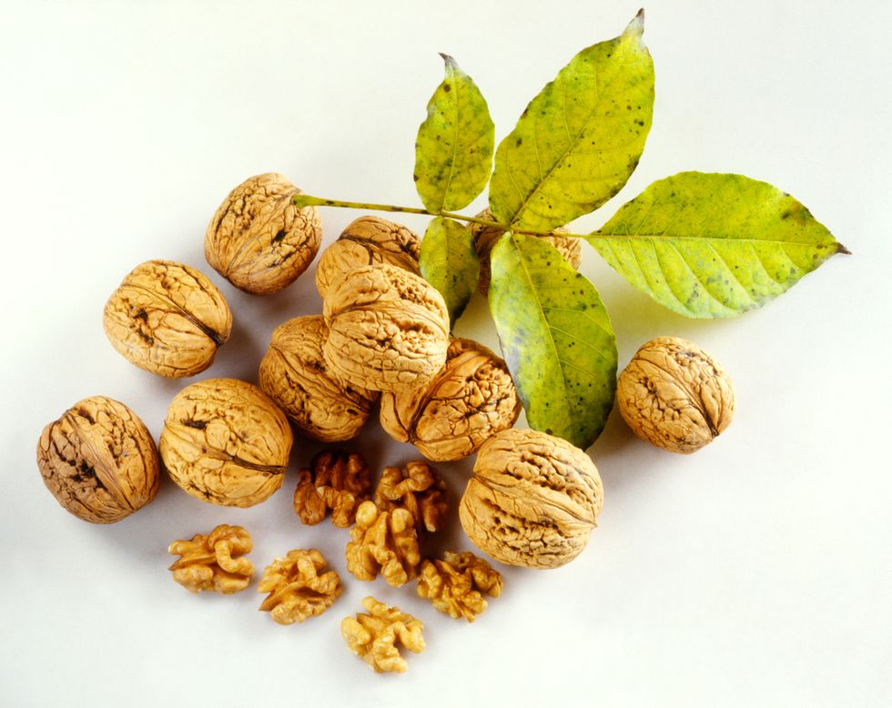 Food, Walnut, Plant, Tree, Nut, Ingredient, Produce, Apricot kernel, Nuts & seeds, 