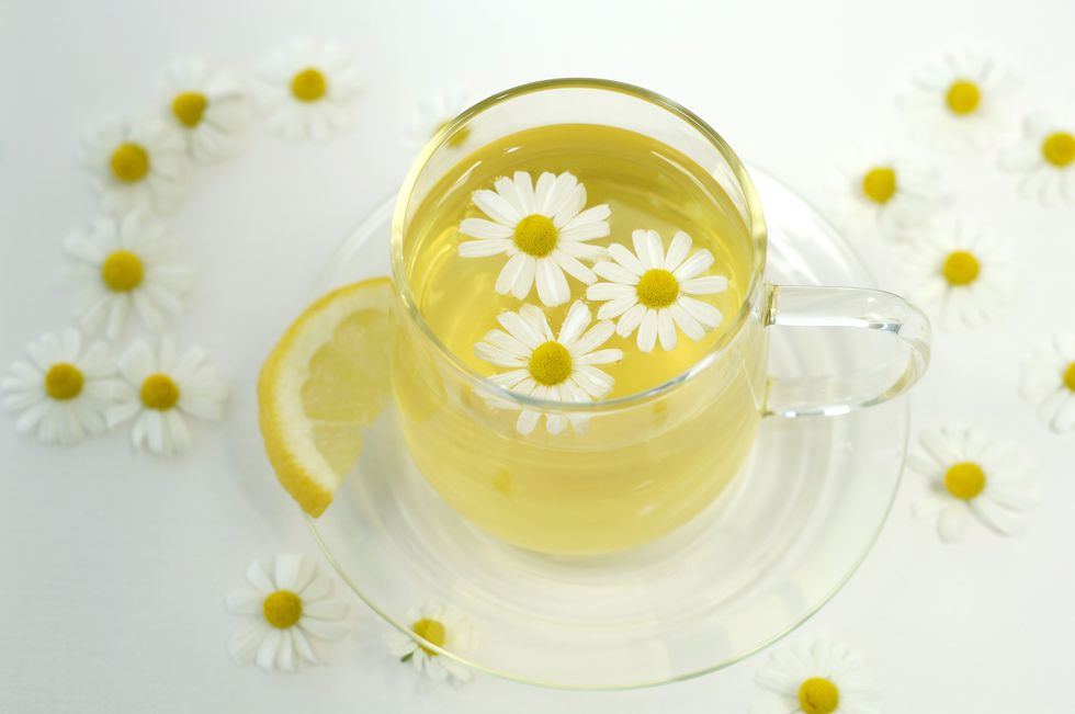 Cup, Yellow, camomile, chamomile, Saucer, Chrysanthemum tea, Coffee cup, Teacup, Drinkware, Tableware, 