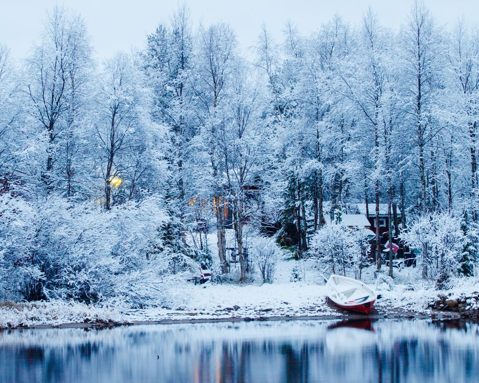 Winter, Branch, Nature, Freezing, Natural landscape, Reflection, Woody plant, Twig, Snow, Forest, 