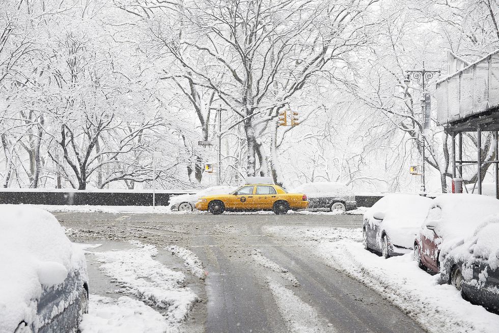 Snow, Winter, Freezing, Motor vehicle, Vehicle, Yellow, Winter storm, Mode of transport, Tree, Blizzard, 