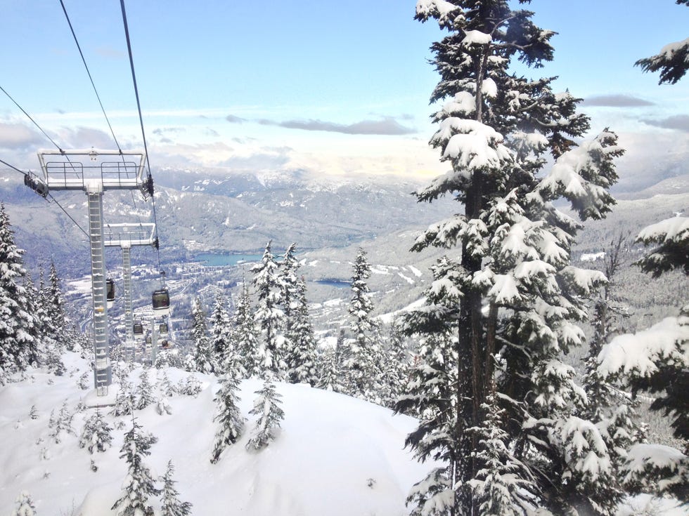 Winter, Branch, Freezing, Snow, Slope, Hill station, Evergreen, Cable car, Cable car, Precipitation, 