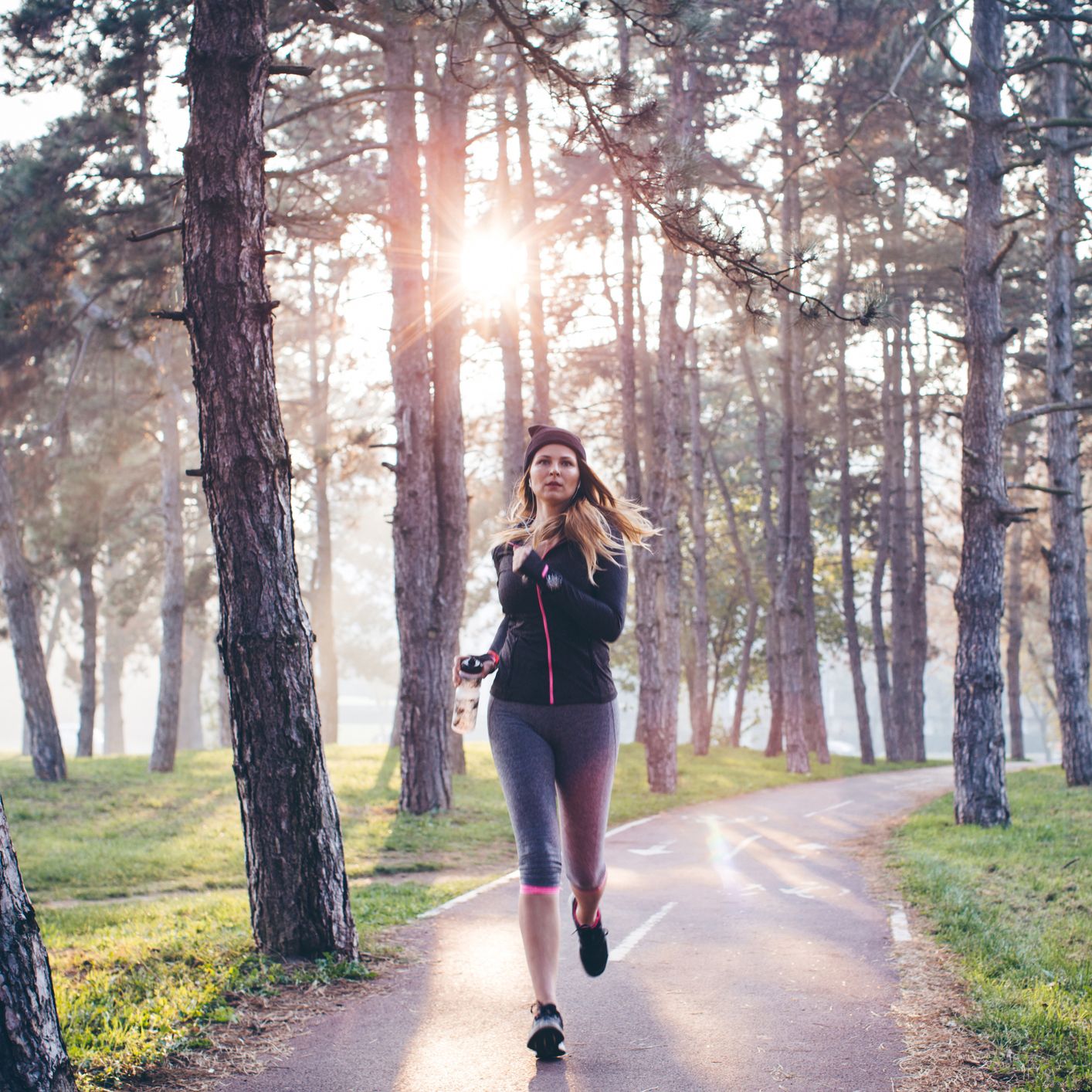 People in nature, Tree, Nature, Photograph, Natural environment, Forest, Atmospheric phenomenon, Beauty, Jogging, Morning, 