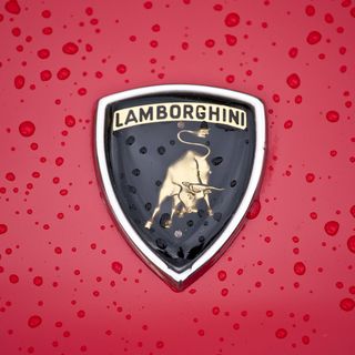 The Origins of Lamborghini's Most Interesting Names