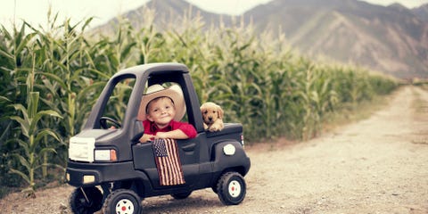 Here Are a Ton of Dogs in Trucks