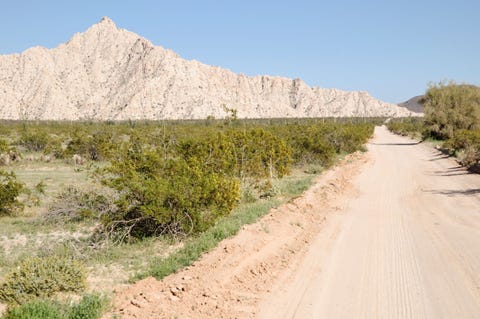El Camino Del Diablo, Arizona <p>The history of the 250-mile El Camino Del Diablo—aka "The Devil's Highway"—spans back to the 16th century, when conquistadores, settlers, missionaries, and miners used it, often on foot. Starting just southwest of Ajo, Arizona, the trail, which runs mostly along the U.S./Mexico border, is suitable for high-riding 4x4s, so leave the Subaru Outback at home. Other than a rare U.S. Border Patrol helicopter buzz-by, you'll be essentially on your own, so remember to carry water and emergency equipment. Along the way, you'll see Pinta Sand Dunes, the Pinacate Volcanic Field, the Tule Mountains, and the abandoned Fortuna Mine before reaching the trail terminus at Fortuna Foothills, Arizona.</p>