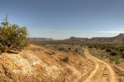 Plant community, Soil, Terrain, Ecoregion, Shrubland, Dirt road, Rural area, Trail, Formation, Grass family, 