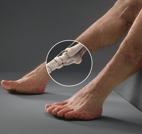 Here S What Humans Might Look Like If We Had Evolved To Survive Car An Extra Joint In Graham S Lower Leg Allows Him To Spring Out Of The Way Oncoming Car Transport Accident Commission