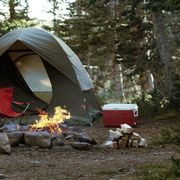 Tent, Natural environment, Camping, Leaf, Style, Forest, Fire, Woodland, Biome, Bonfire, 