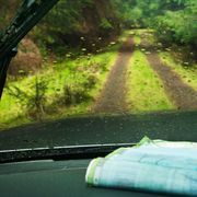Nature, Green, Natural environment, Glass, Windscreen wiper, Windshield, Forest, Sunlight, Tints and shades, Automotive window part, 