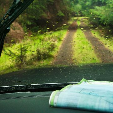 Nature, Green, Natural environment, Glass, Windscreen wiper, Windshield, Forest, Sunlight, Tints and shades, Automotive window part, 