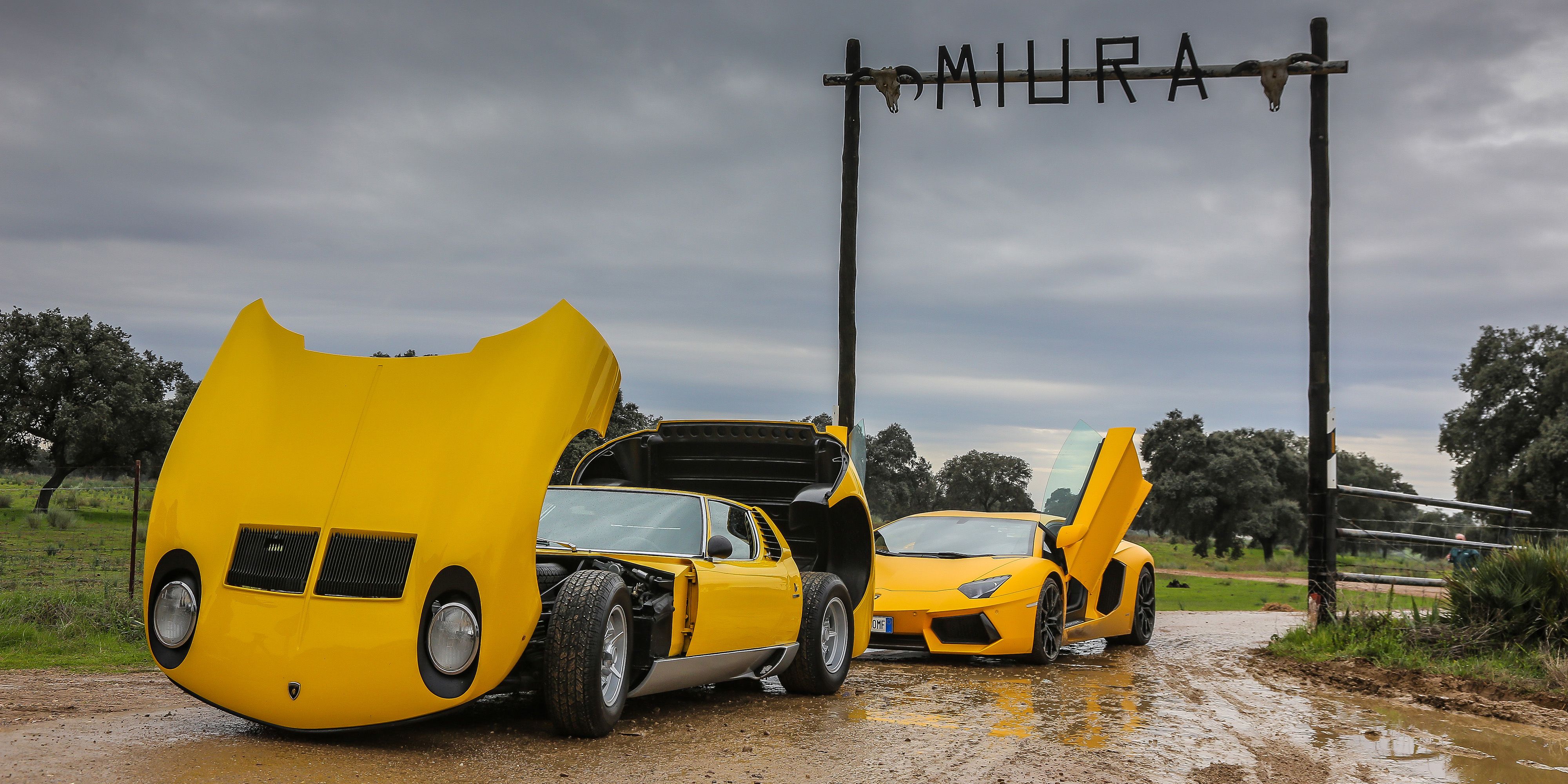 Lamborghini Went Back To The Miura Family Farm