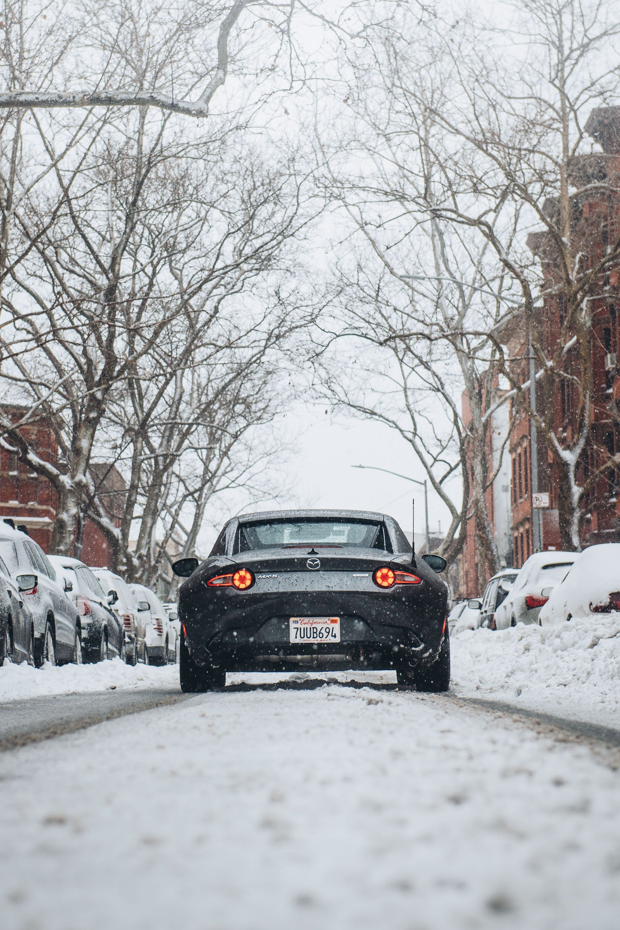 tarp on car for snow