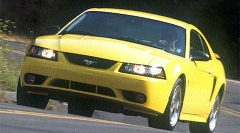 Mustang Roundup Ford Svt Cobra