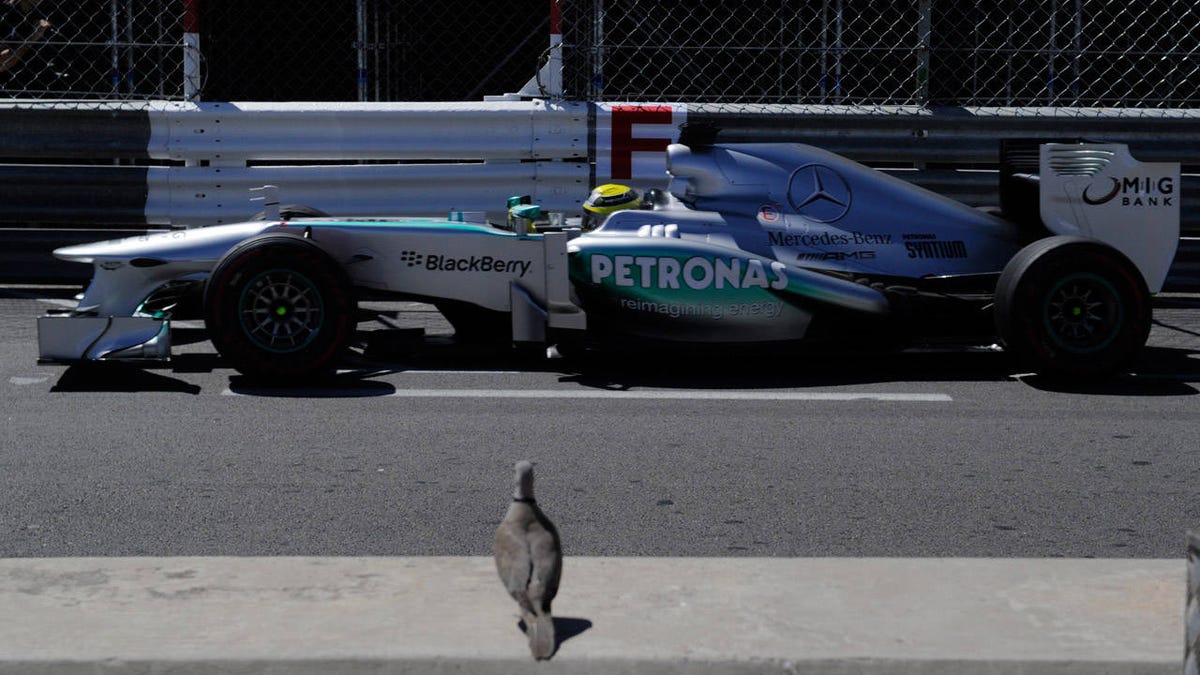 5 Racecars For The Price Of A Pigeon Pigeon Priced Race Cars