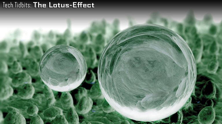 The Lotus-Effect - Tech Tidbits by Dennis Simanaitis for May 2012