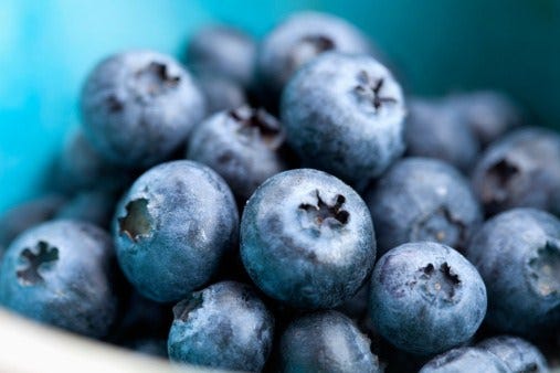 Blue, Produce, Fruit, Natural foods, Ingredient, Local food, Turquoise, Bilberry, Macro photography, Blueberry, 