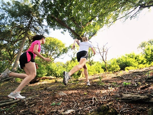 Leg, Human leg, Tree, People in nature, Leisure, Sunlight, Thigh, Running, Calf, Active shorts, 