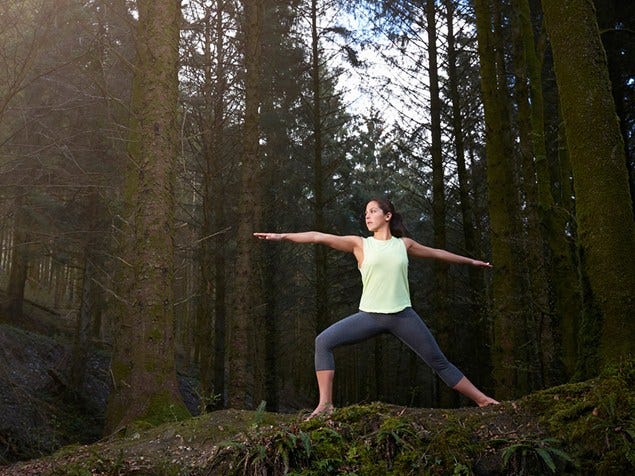 Human body, Human leg, People in nature, Forest, Knee, Grove, Trunk, Waist, Active pants, Woodland, 