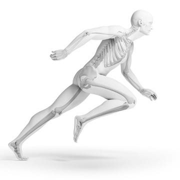 Leg, Human leg, Shoulder, Joint, Elbow, Standing, Knee, Wrist, Chest, Waist, Leg, Human leg, Shoulder, Joint, Elbow, Standing, Knee, Wrist, Chest, Waist,
