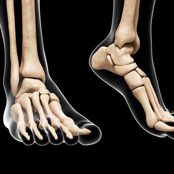 Joint, Human leg, Organ, Foot, Knee, Toe, Ankle, Barefoot, Flesh, 