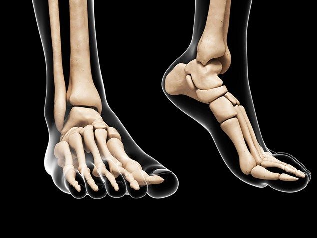 Joint, Human leg, Organ, Foot, Knee, Toe, Ankle, Barefoot, Flesh, 