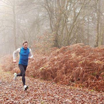 Leaf, Mammal, Jacket, People in nature, Deciduous, Autumn, Atmospheric phenomenon, Running, Trail, Forest, 
