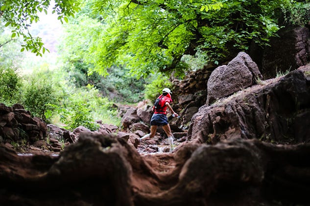 Rock, Outdoor recreation, Forest, Adventure, Bedrock, Old-growth forest, Jungle, Outcrop, Adventure racing, Rainforest, 