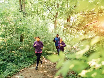 Nature, Green, Jacket, People in nature, Forest, Trail, Woodland, Sunlight, Walking, Running, 